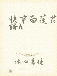 快穿白莲花的引诱h