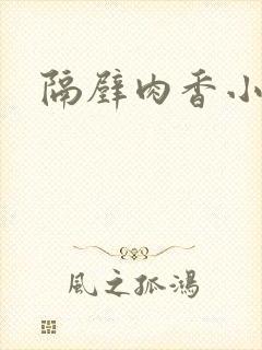隔壁肉香小说