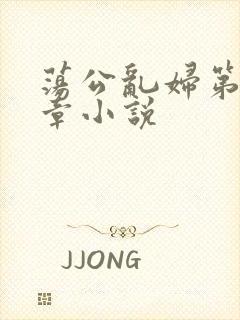 荡公乱妇第51章小说