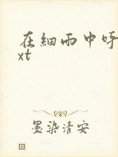 在细雨中呼喊txt