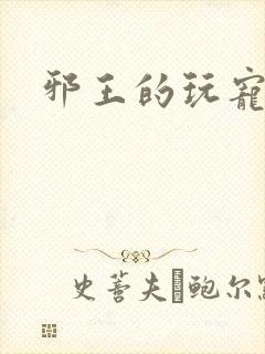 邪王的玩宠