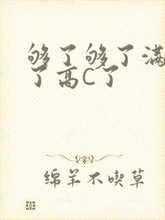 够了够了满到C了高C了