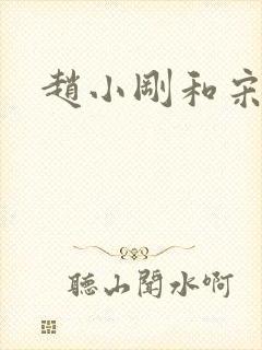 赵小刚和宋雨晴