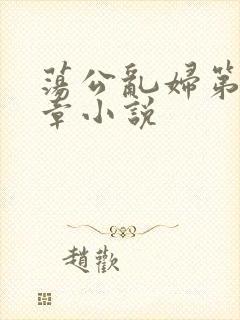 荡公乱妇第51章小说