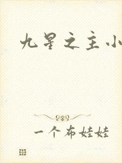 九星之主小说