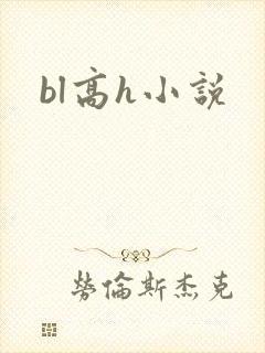 bl高h小说