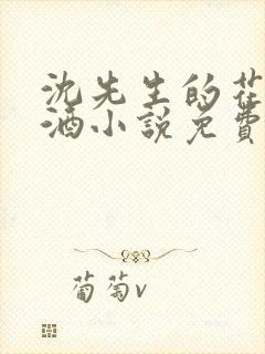 沈先生的花式调酒小说免费阅读