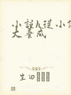 小说h从小做到大养成