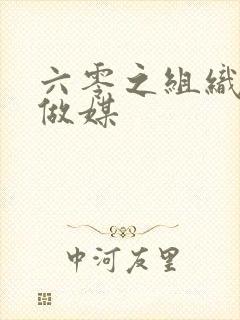 六零之组织给我做媒