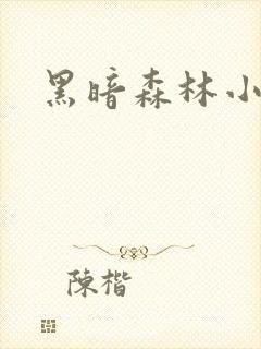 黑暗森林小说