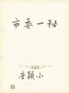 市委一秘