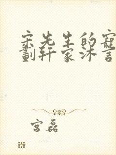 宋先生的宠妻计划轩家沐言