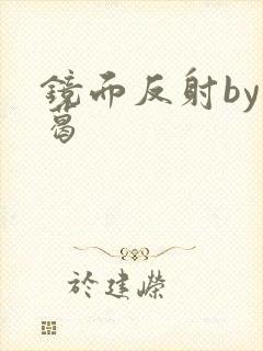 镜面反射by九葛