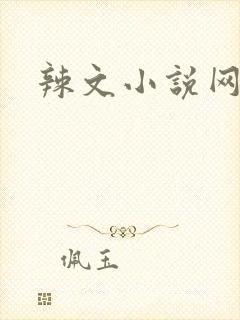 辣文小说网