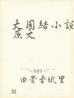 大团结小说阅读原文