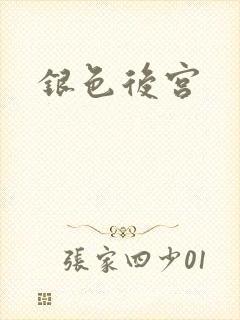 银色后宫