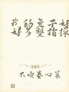 我的兔子好软水好多双指探洞小说