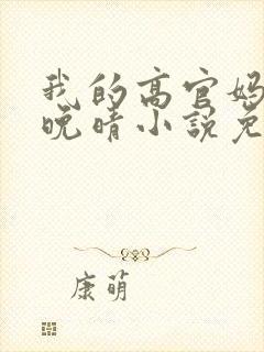 我的高官妈妈苏晚晴小说免费阅读