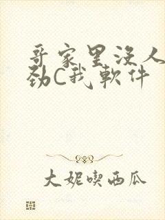 哥家里没人使点劲C我软件