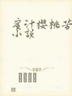 蜜汁樱桃苦咖啡小说