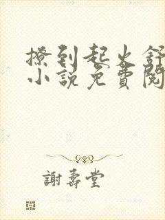 撩到起火舒漾的小说免费阅读全文