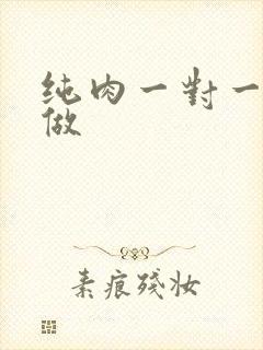 纯肉一对一到处做