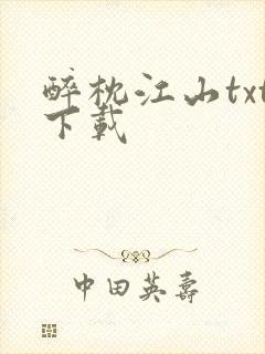 醉枕江山txt下载