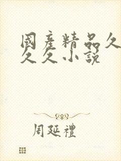 国产精品久久久久久小说