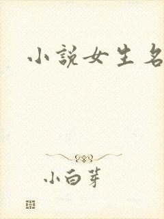 小说女生名字