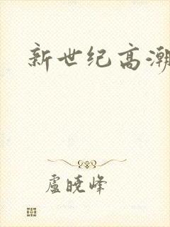 新世纪高潮战队