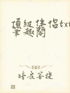 顶级伴侣txt笔趣阁