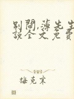 别闹,薄先生小说全文免费阅读