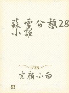 苏雪公憩28篇小说