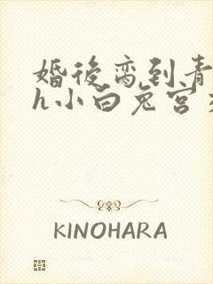 婚后脔到青梅哭h小白兔宫交h