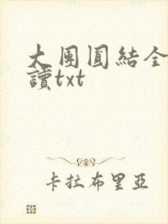 大团圆结全文阅读txt