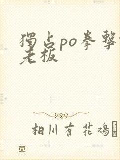 独占po拳击馆老板