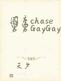 国产chase男男GayGay
