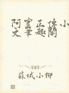 阿宾正传小说全文笔趣阁