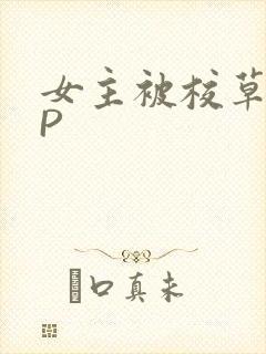 女主被校草们NP