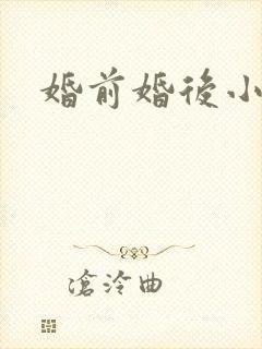 婚前婚后小说