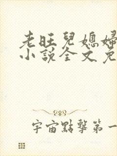 老旺儿媳妇秦雨小说全文免费阅读