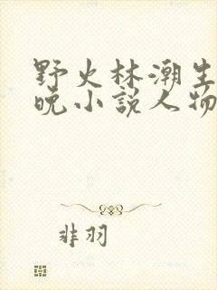 野火林潮生林晚晚小说人物野火