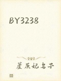 BY3238