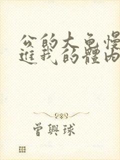 公的大龟慢慢挺进我的体内