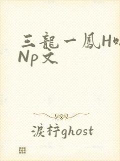 三龙一凤H啪肉Np文