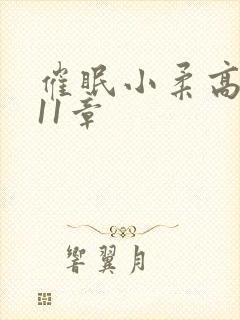 催眠小柔高达第11章