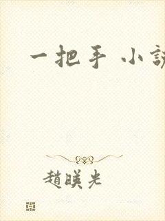 一把手 小说
