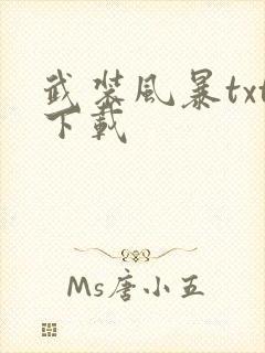 武装风暴txt下载