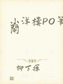 小洋楼PO笔趣阁