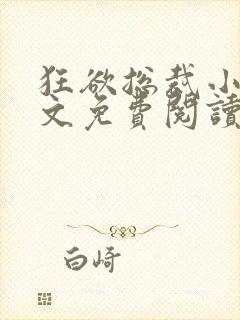 狂欲总裁小说全文免费阅读